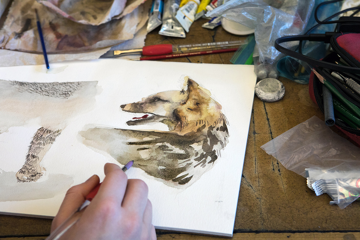 Close-up of fox illustration.