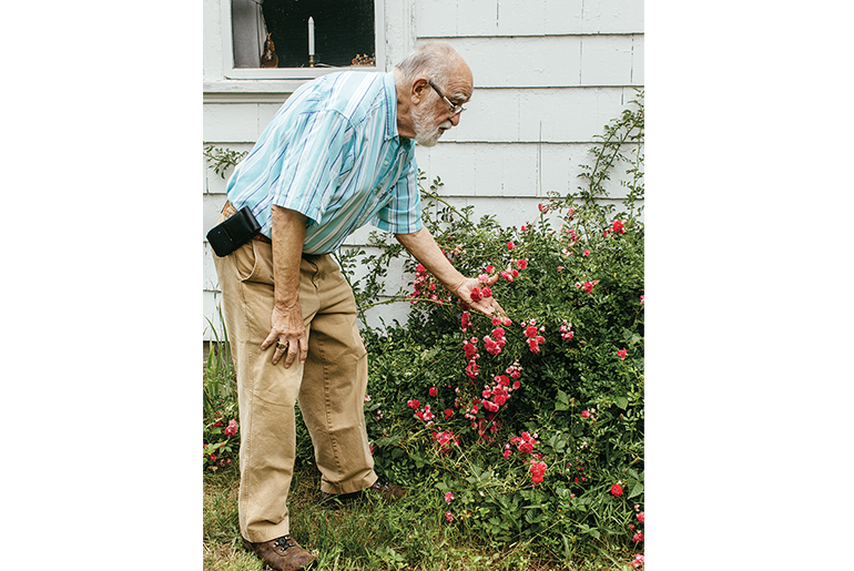 Image of a Man with white hair, a beard  and glasses in a blue shirt and khaki pants leaning over a rose bush 