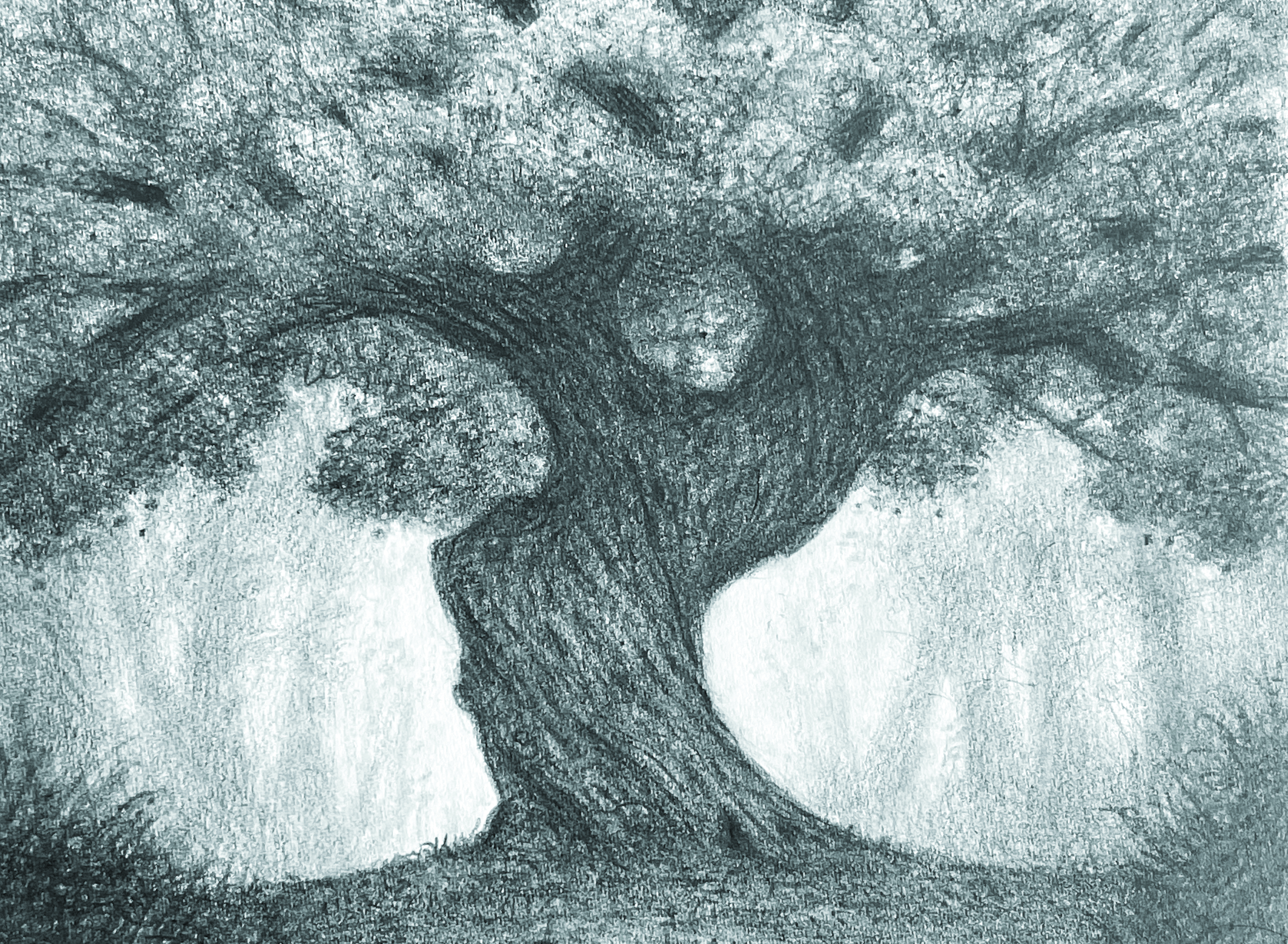 Selznick’s drawing of Mama tree, a character in Big Tree