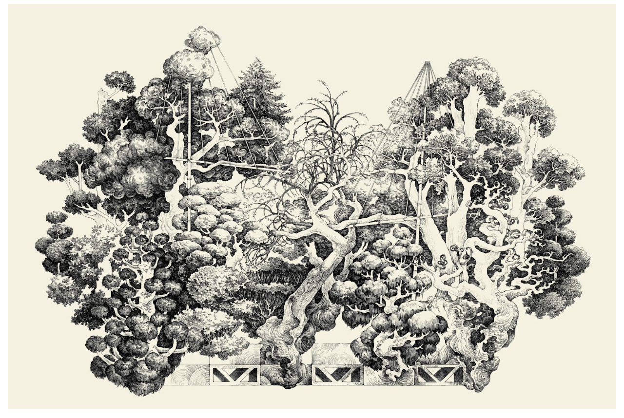 Trees of Fujiyoshida (2024)
