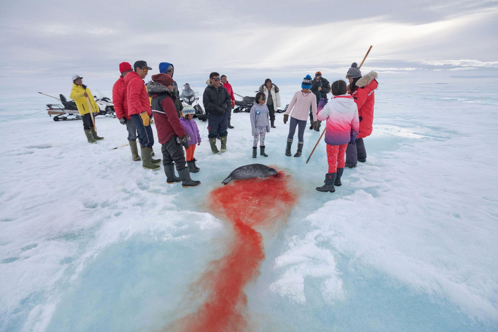 A trail of blood marks the Naqitarvik family’s celebration of a young woman’s first ringed seal catch.
