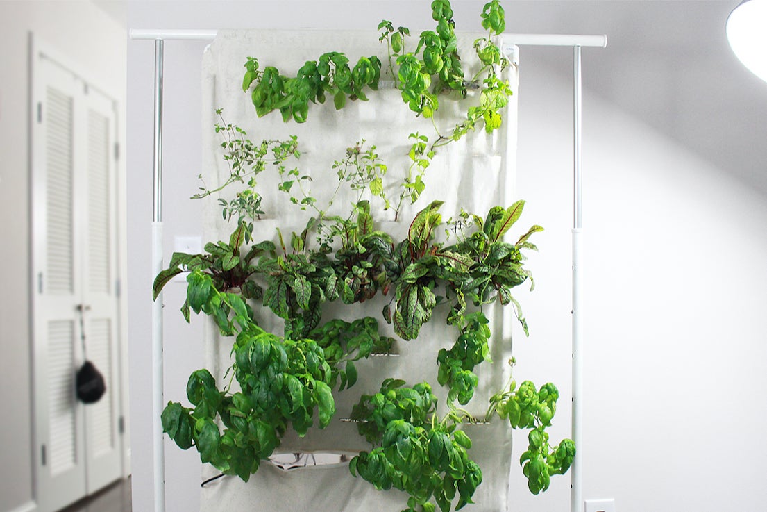 The hydroponic Soilless gardening system uses 90% less water than traditional growing methods.