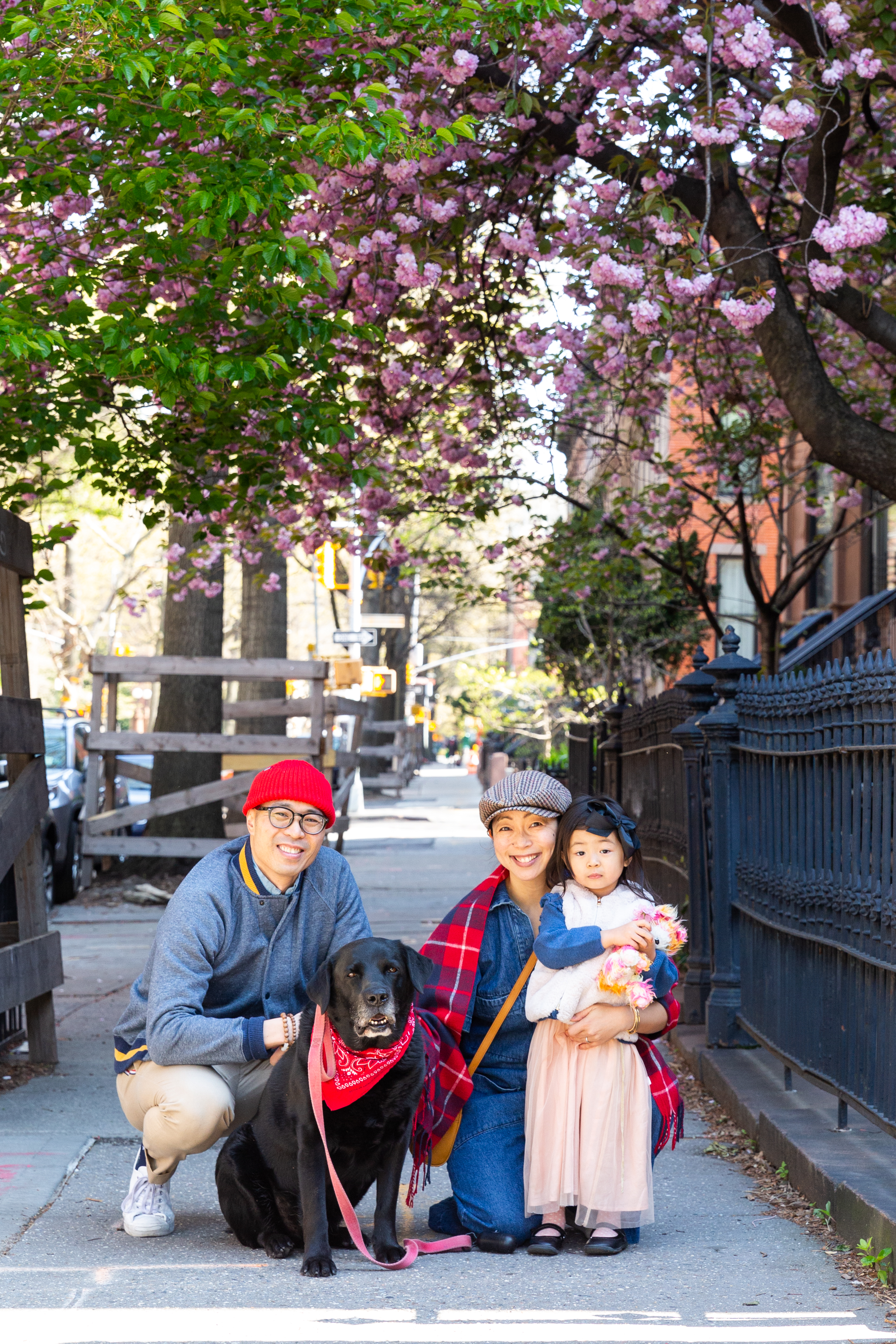 Brooklyn Stoop Portraits