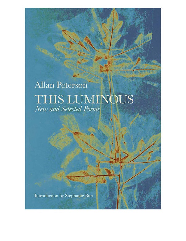An image of the book cover for "The Luminous"
