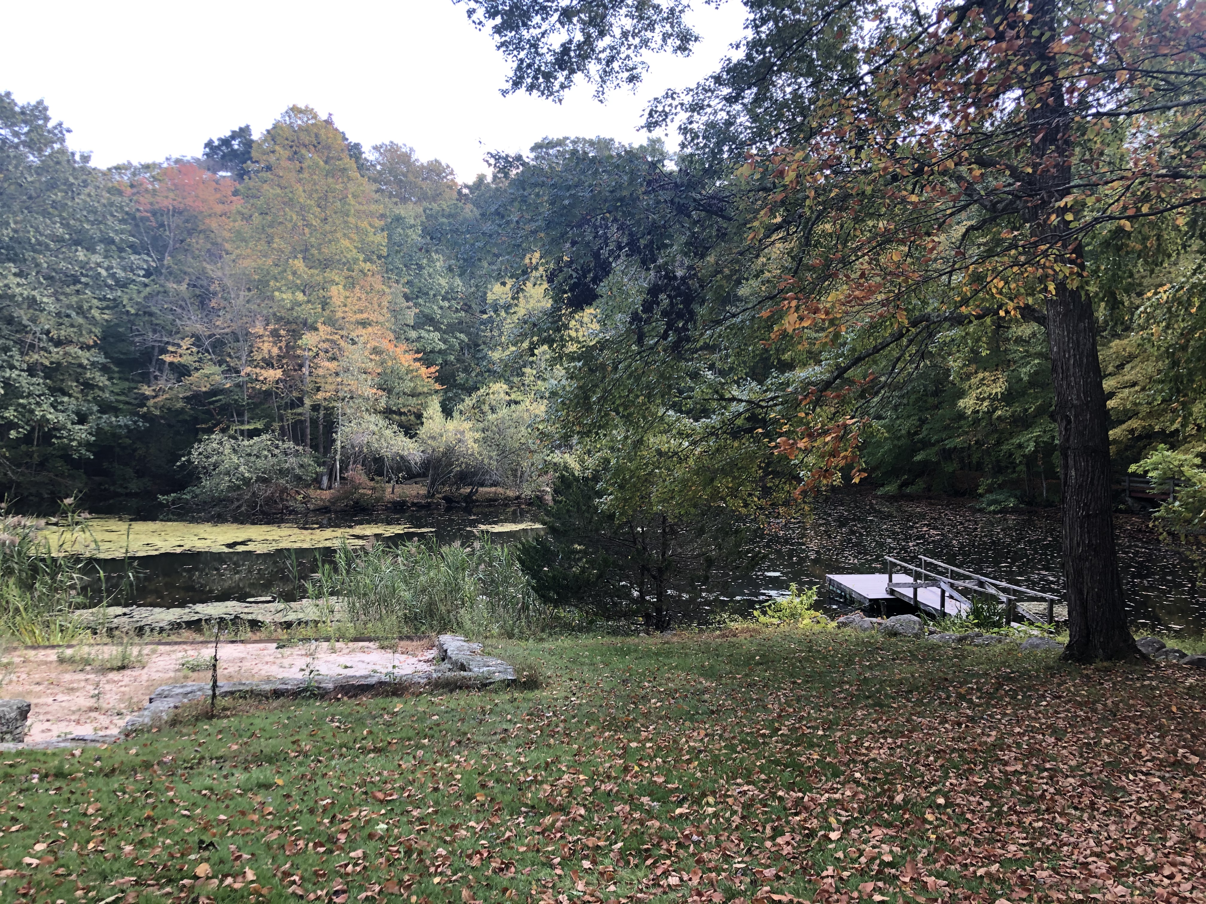 A view of a pond and lawn at Foundation House in Greenwich, CT.