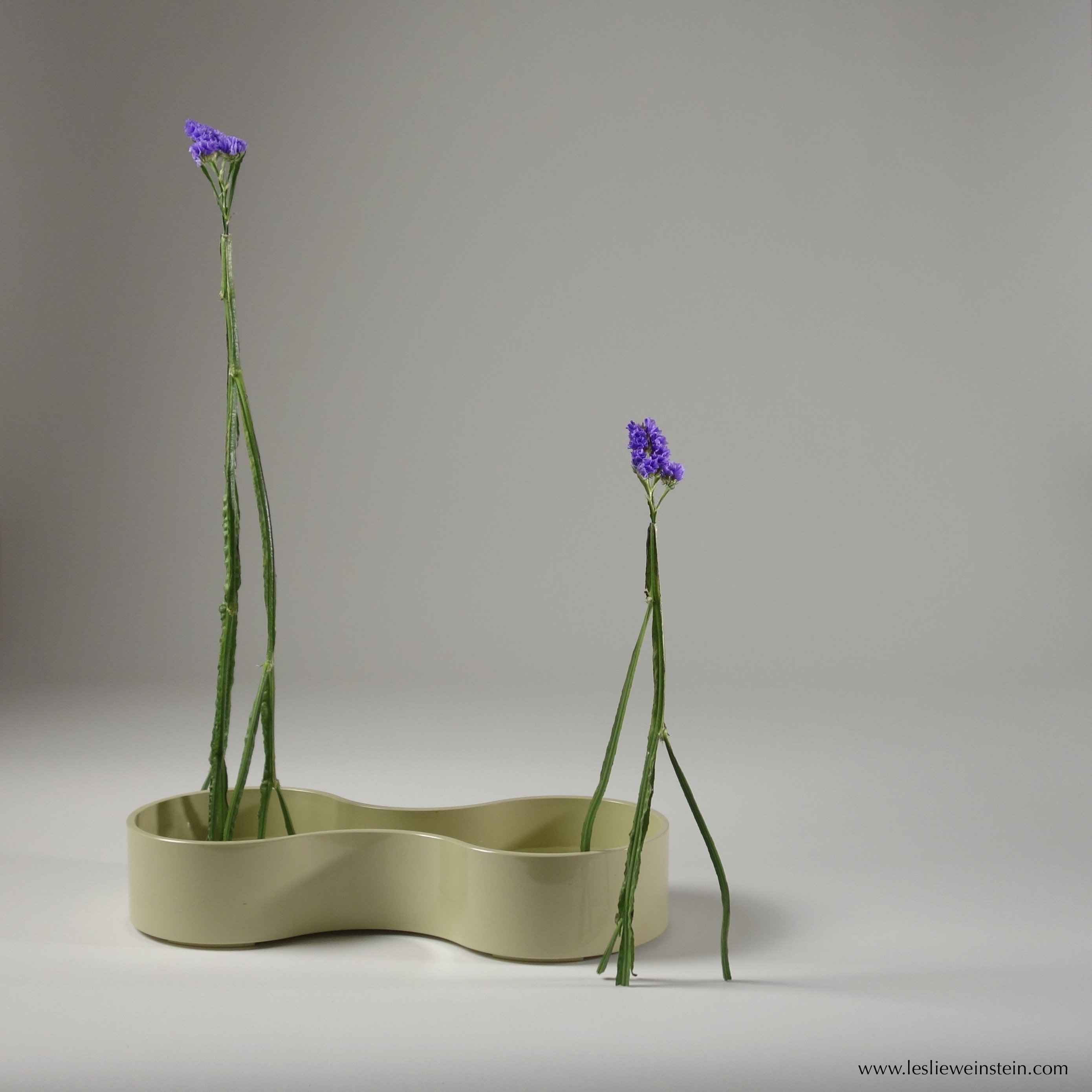 Image of two purple flowers with green stems standing over an infinity symbol