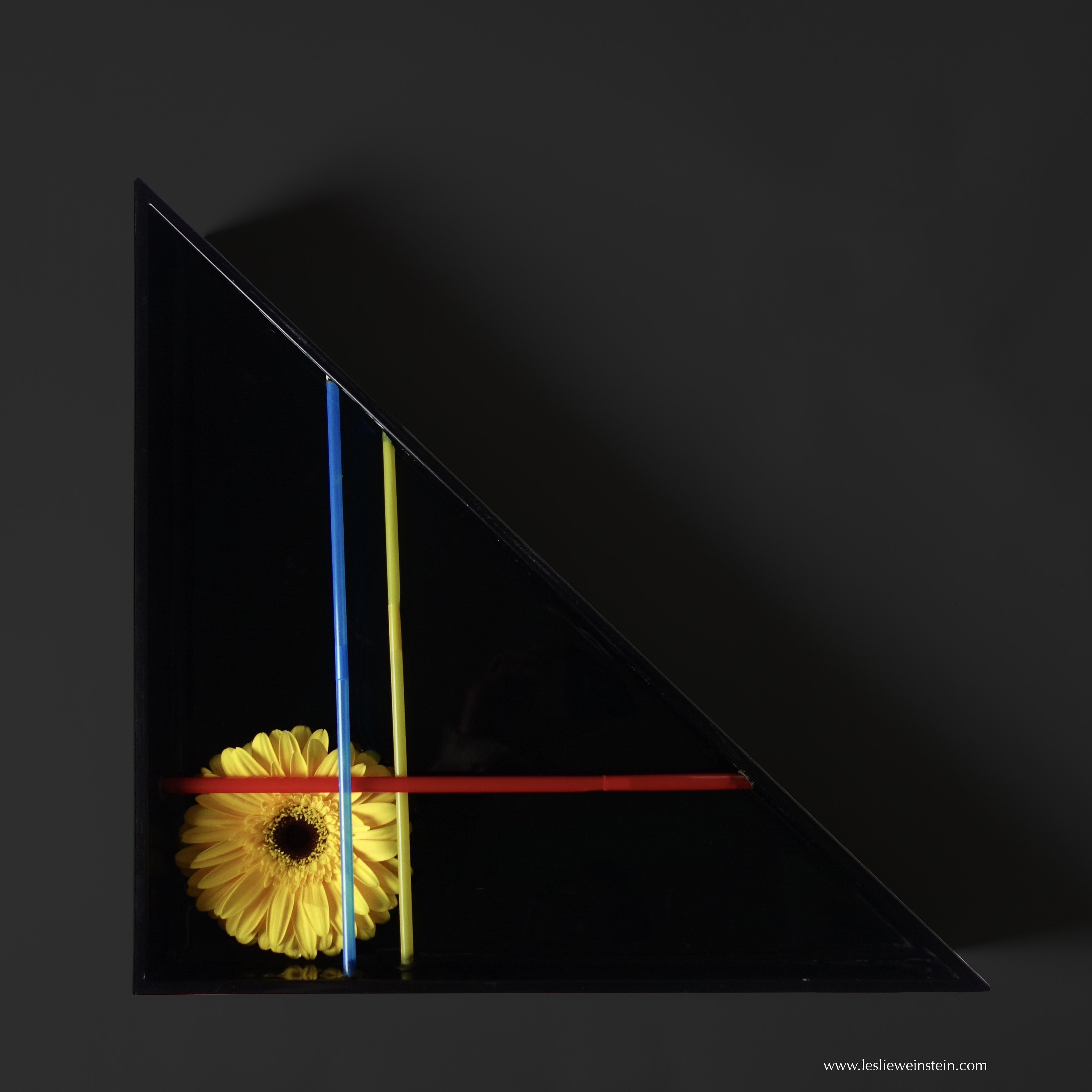 Image of a yellow flower in a black box with red, yellow, and blue lines