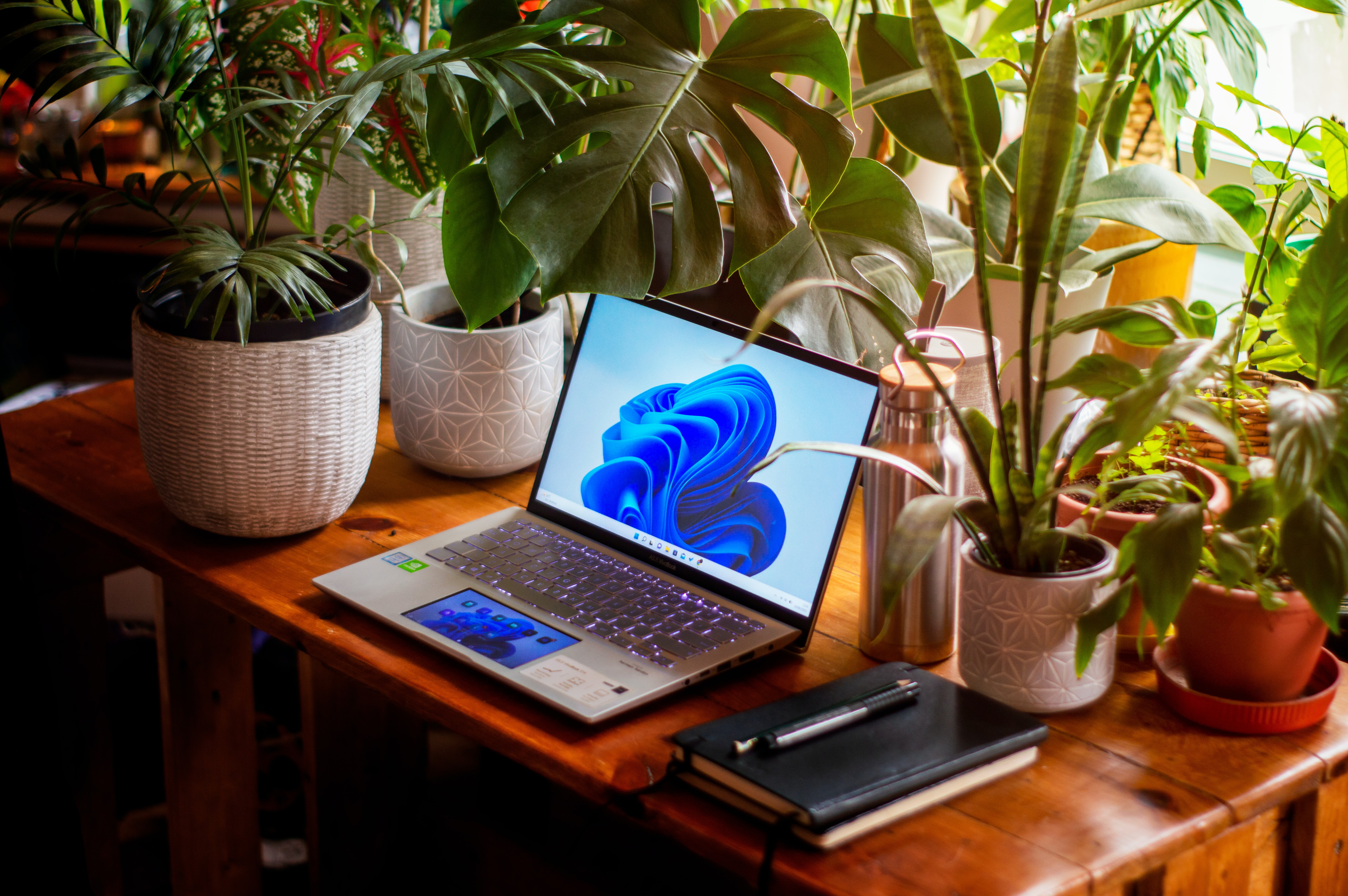 A laptop computer sitting on a desk and surrounded by plants
