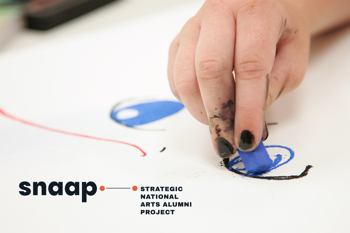 SNAAP Strategic National Arts Alumni Project 