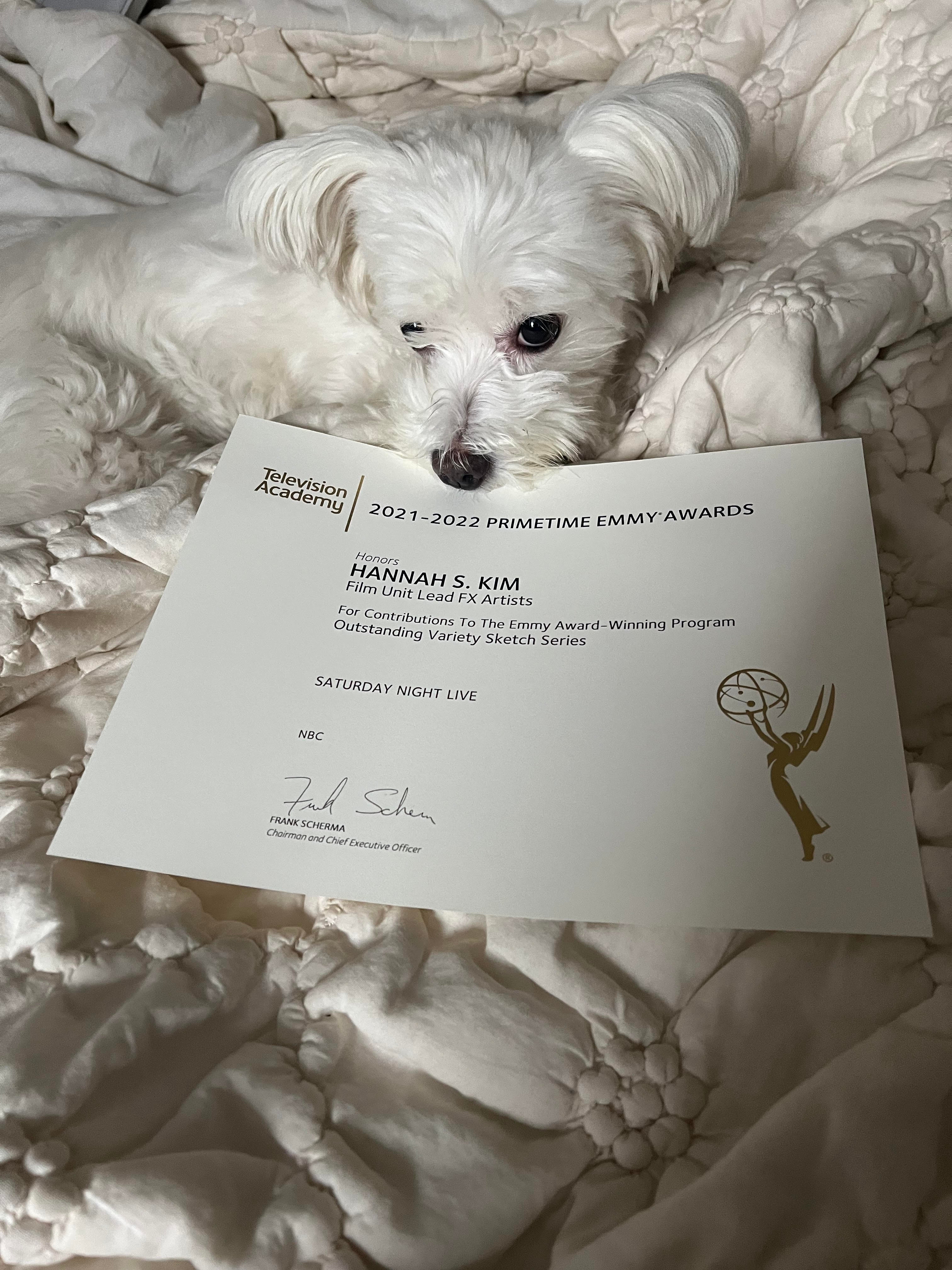 A dog holding an Emmy award certificate in its mouth