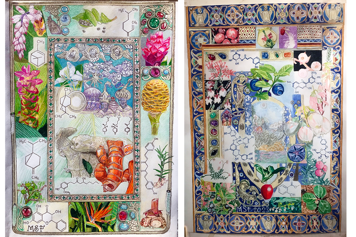 Two illustrated multicolored works of botanical families, denoted with line drawings of molecules