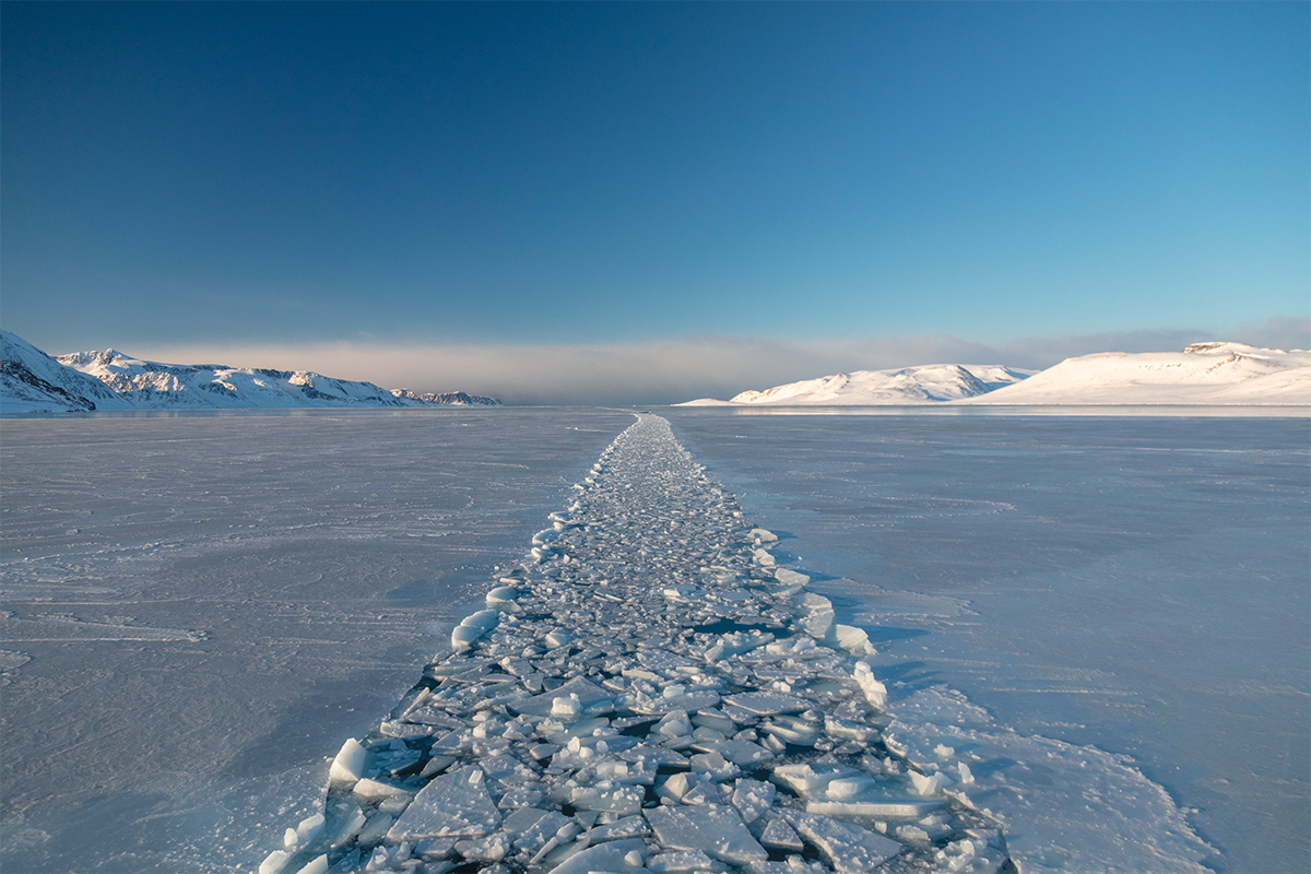 A tourist ship, in search of polar bears, leaves behind a trail of crushed sea ice off the coast of Spitsbergen, Svalbard. Marine mammals that rely on sonar and acoustic communication are particularly vulnerable to underwater noise pollution and can cease feeding behavior if disturbed.