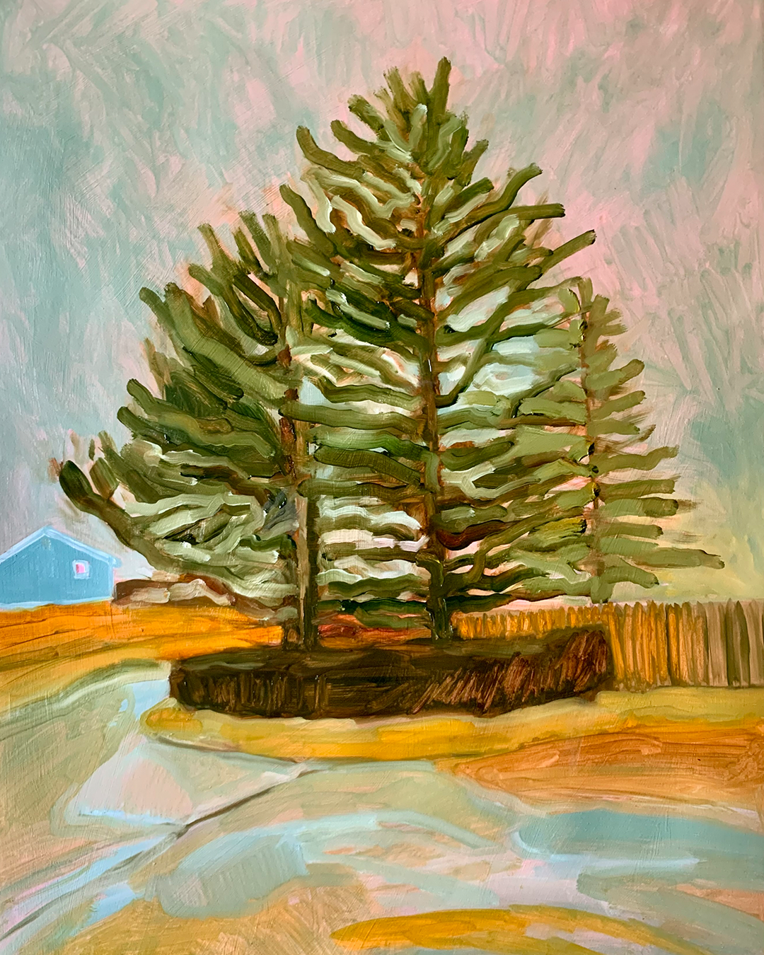 An illustration of pine trees close together