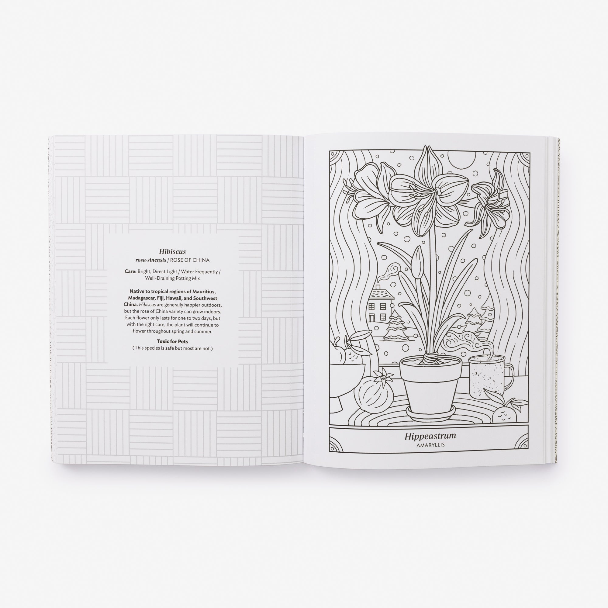 A page in The Happy Houseplant Coloring Book