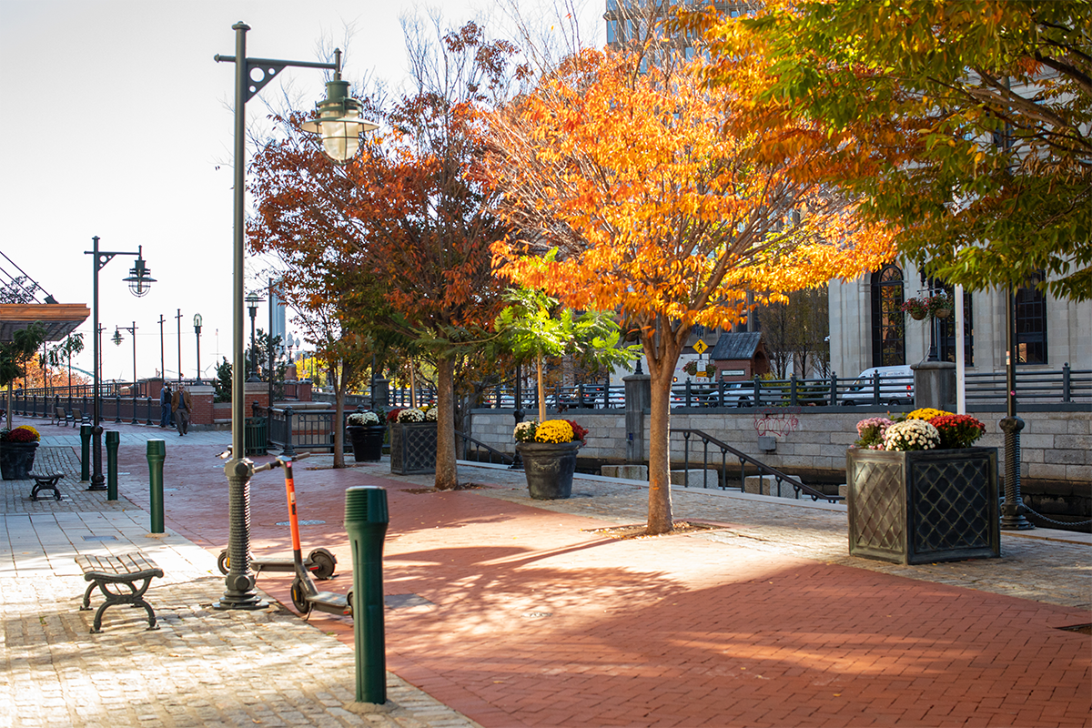 Campus along the River Walk