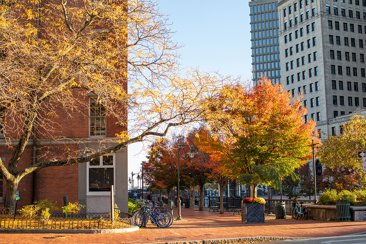 Image of canal walk in the fall