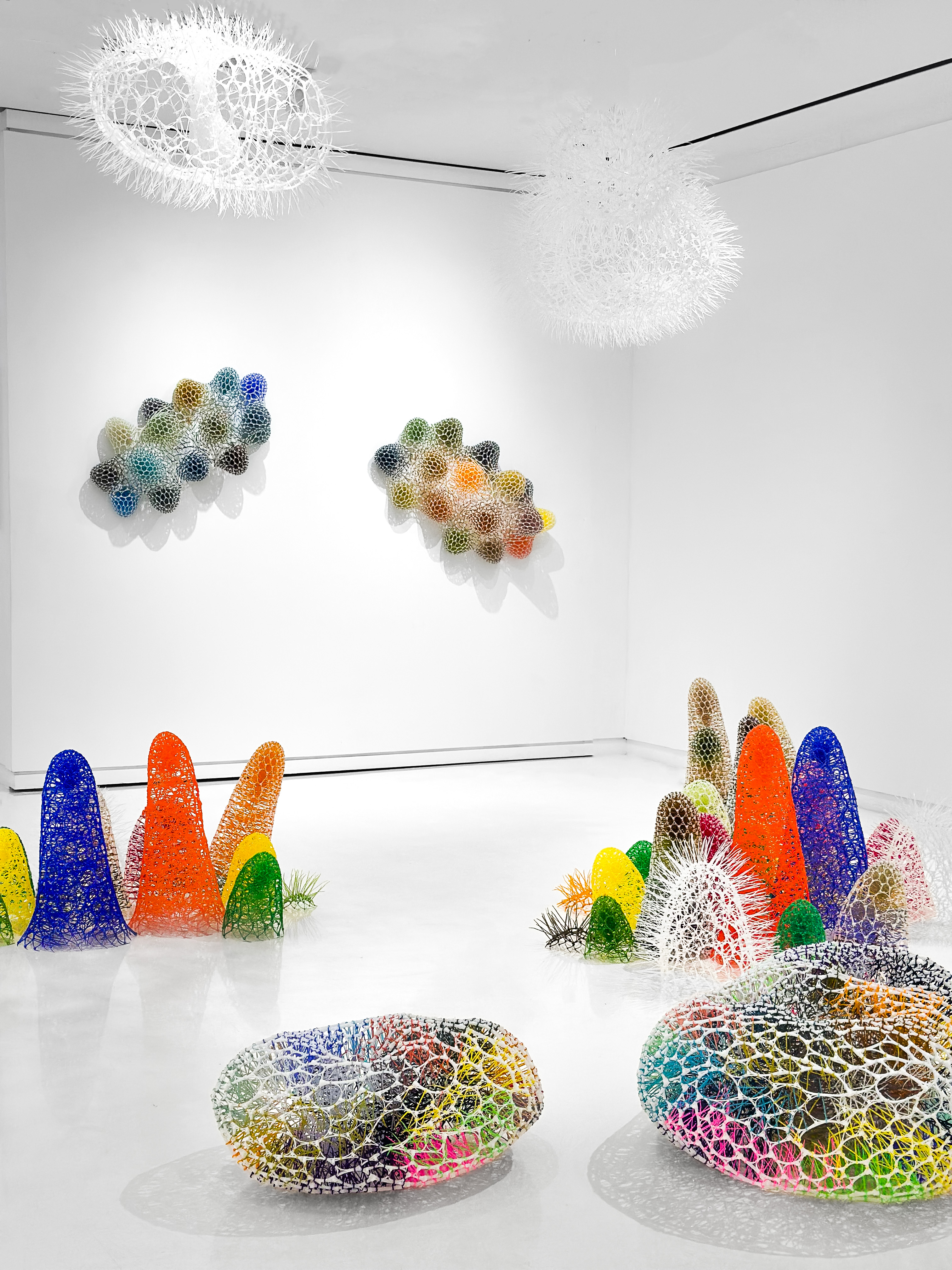 Installation view of Sui Park, Weaving Color into Cosmos