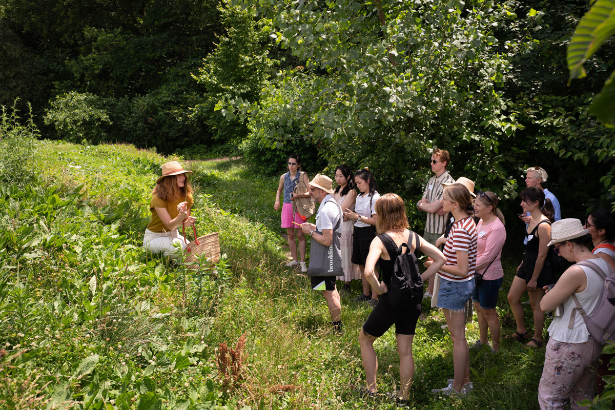 Plant walk in Prospect Park 