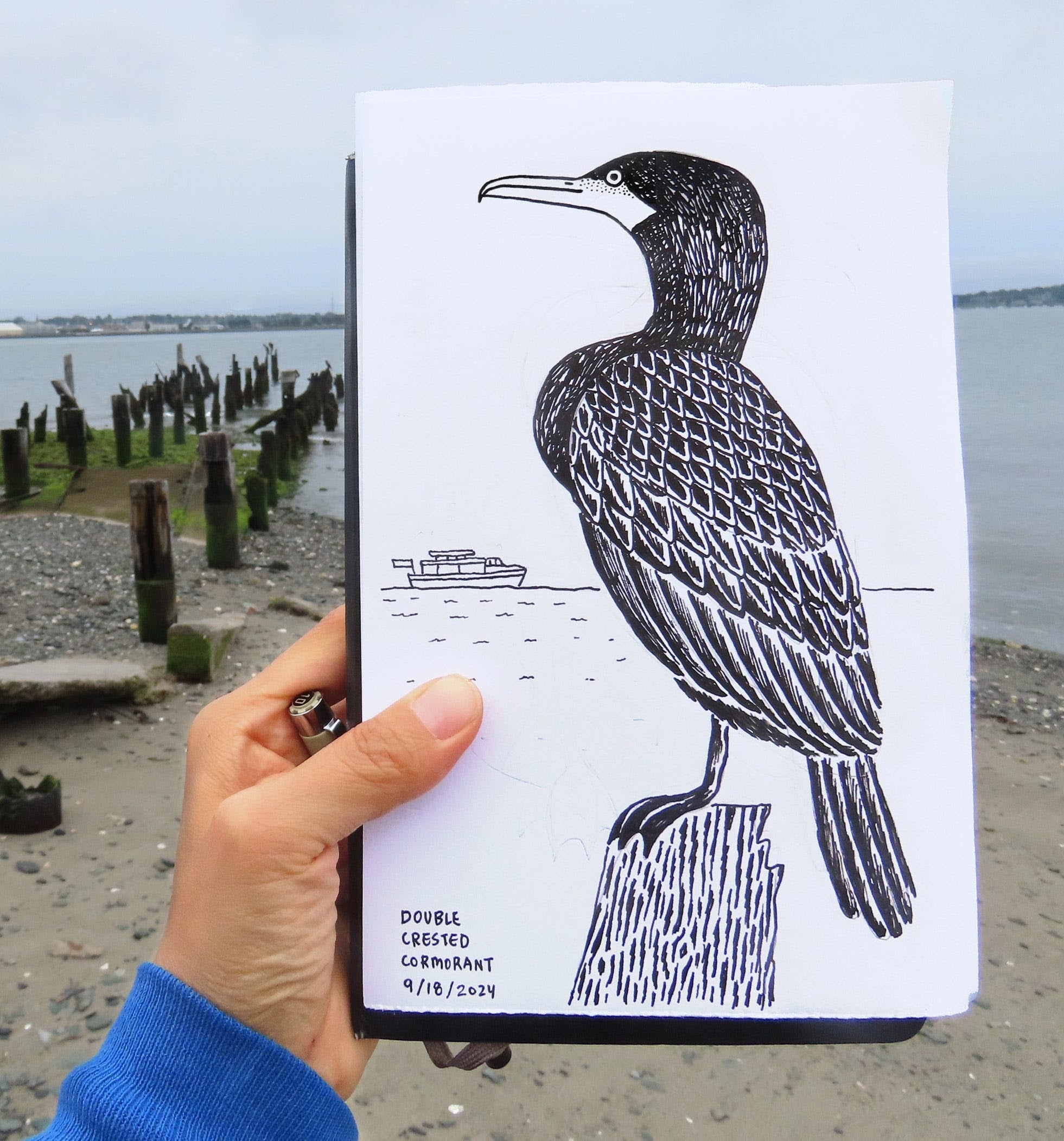 Sketch of of a water bird on a pier 