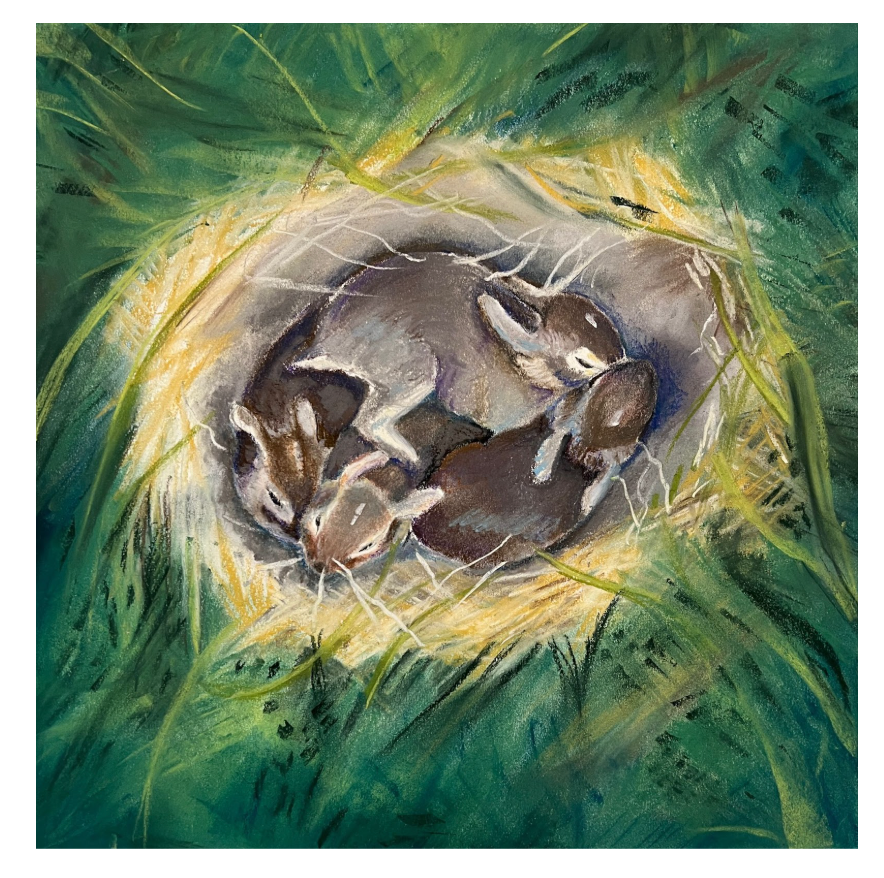 Pastel 12 x 12 inches  Summer is the time for bunnies to hop through our yard, munching on clover.