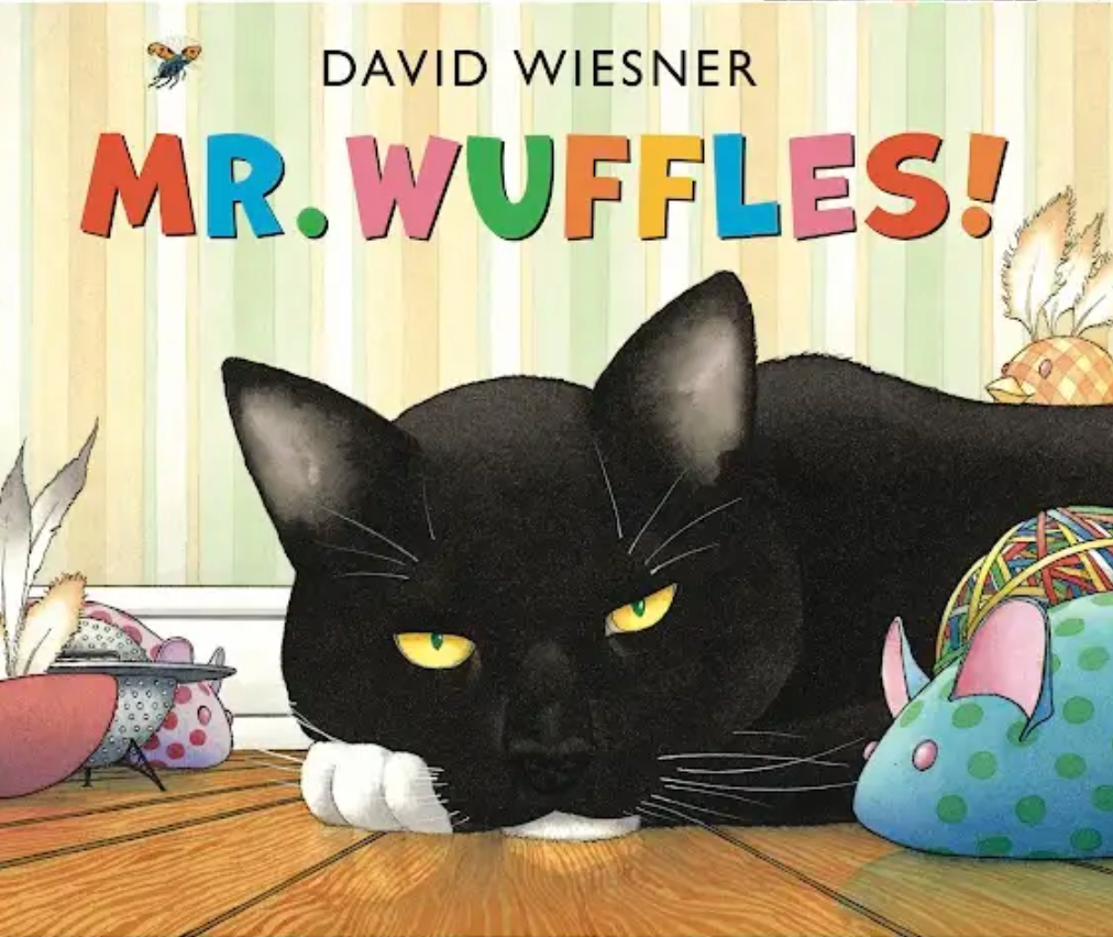 Book jacket design for ""Mr. Wuffles"" by David Wiesner