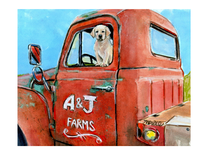 Working Like A Dog (2018)