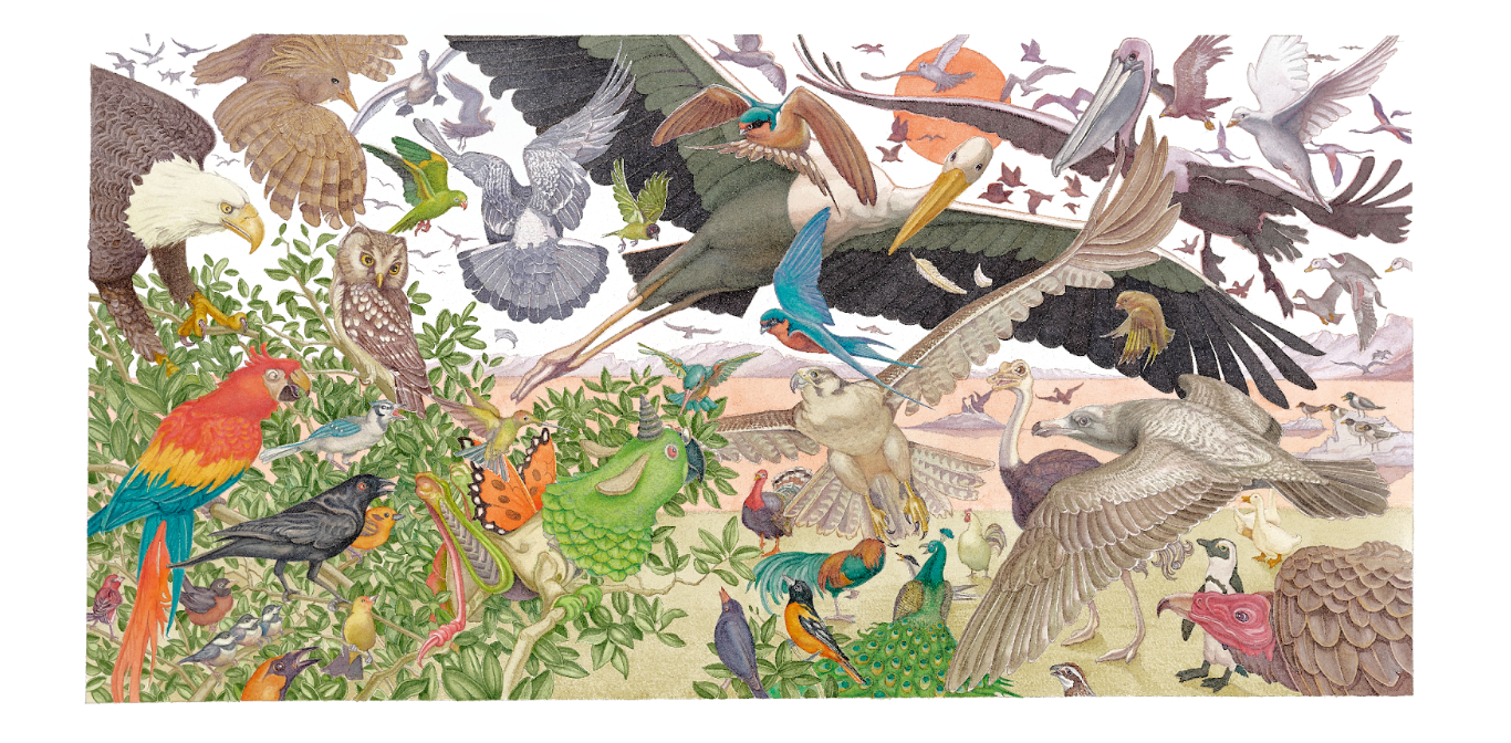 Illustration for the book The Scroobious Pip by Edward Lear