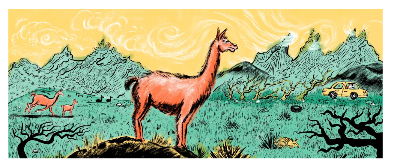 Driving Through Patagonia