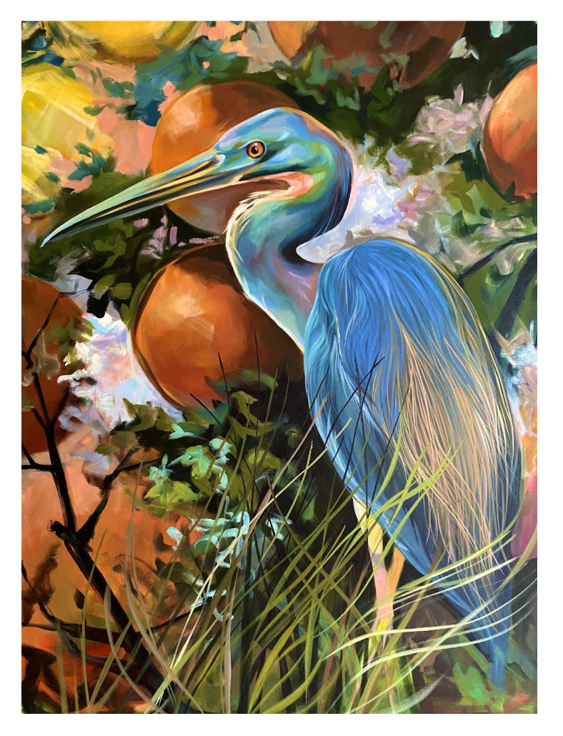 The Floridian Series - Tricolored Heron