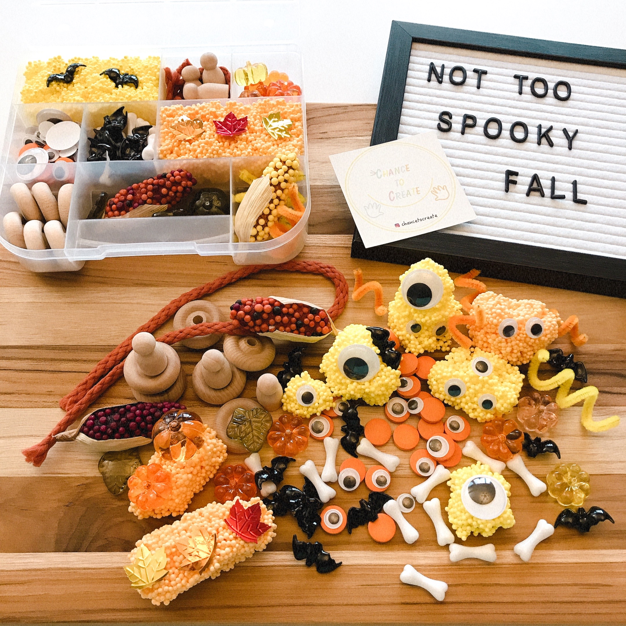 An image of an autumn themed sensory toy kit 