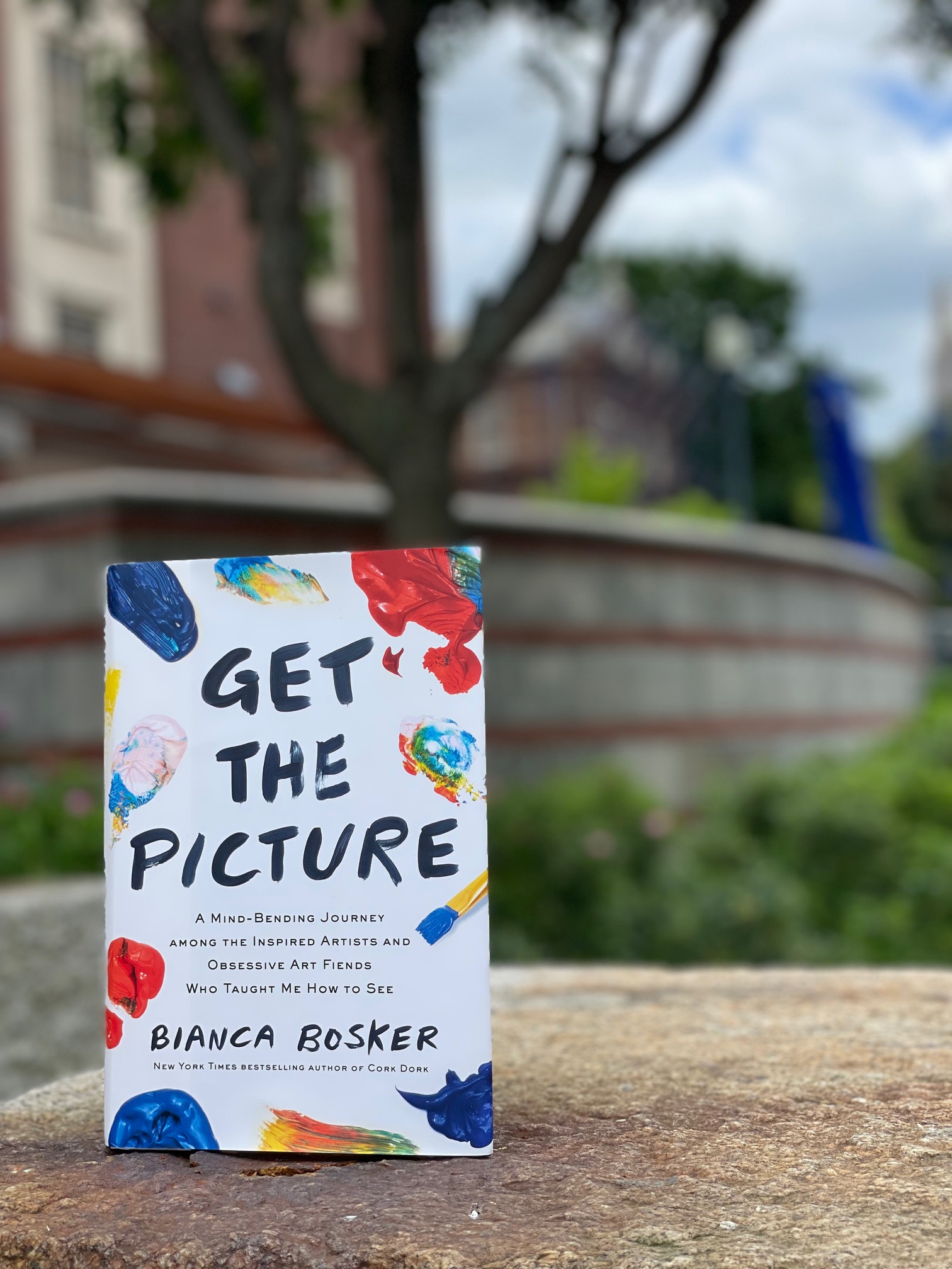 Get the Picture: A Mind-bending Journey Among the Inspired Artists and Obsessive Art Fiends Who Taught Me How to See”