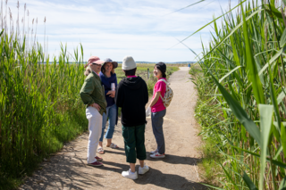 Four people speaking to each other on a path bordered by tall grass